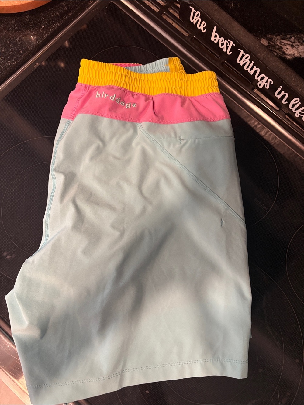 Birddogs -XXL Light Blue Shorts with Pink & Yellow Waistband- 🫶